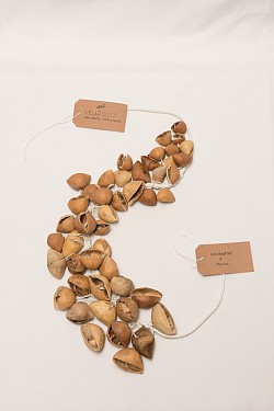 VEL Nut Rattle/Water effect