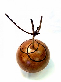 Rain gourd 'Aros' €109,00 incl. tax, free shipping and free bonus of a pair of claves!