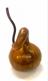 € 60,00 Rain gourd 'Horn'