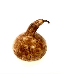 €60,00 Rain gourd 'Luipaard'
